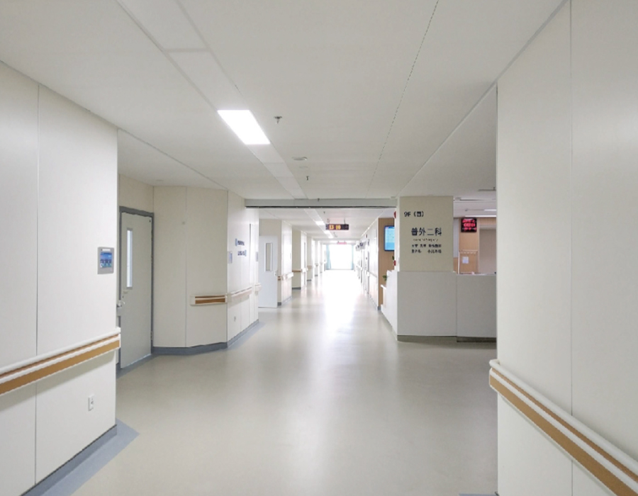 Kalciumsilikat dekorativ väggpanel